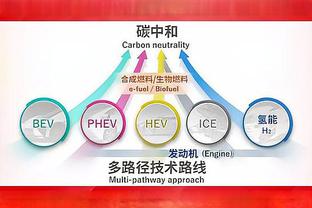 Lowe：鹈鹕能进前六就是巨大胜利 他们真的打得不错